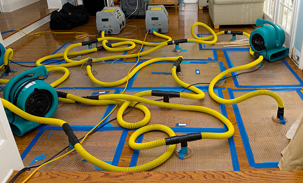Professional Storm Water Damage Restoration technician working in Lancing, TN