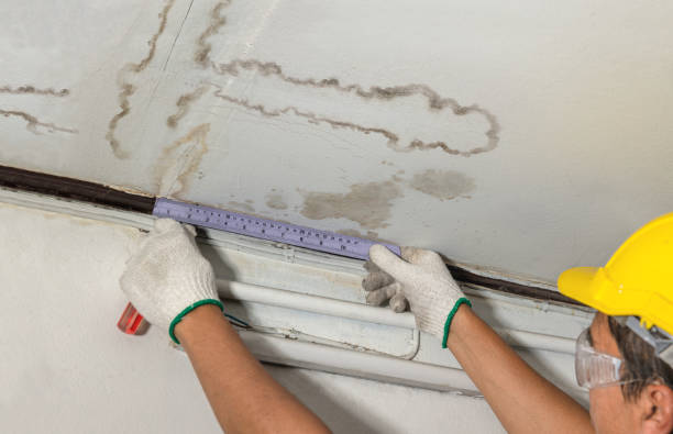 Affordable Water Damage Repair solutions in Lancing, TN